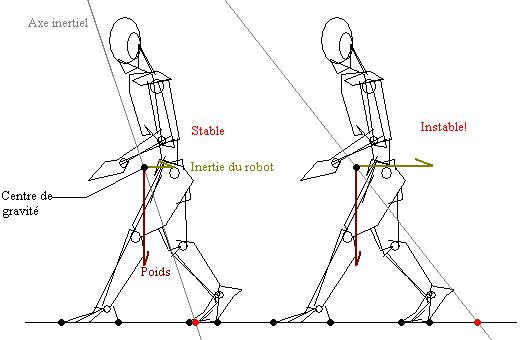 Illustration du Zero Moment Point