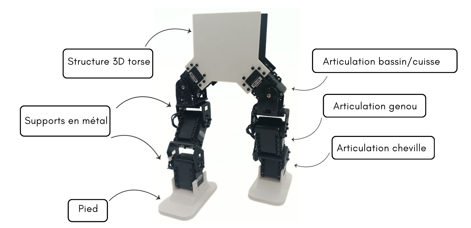 Schéma du robot final